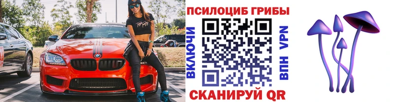 сколько стоит  Заполярный  Псилоцибиновые грибы Psilocybine cubensis 